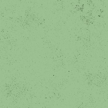 Mint Choc Chip