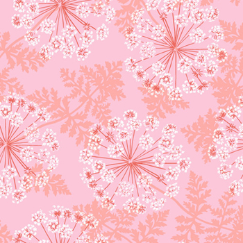 Wild carrots pink