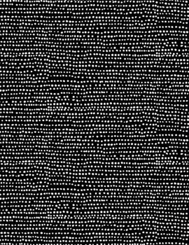 Black and white dot Moonscape Jet