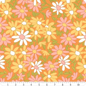 Cheddar Daisy Chain